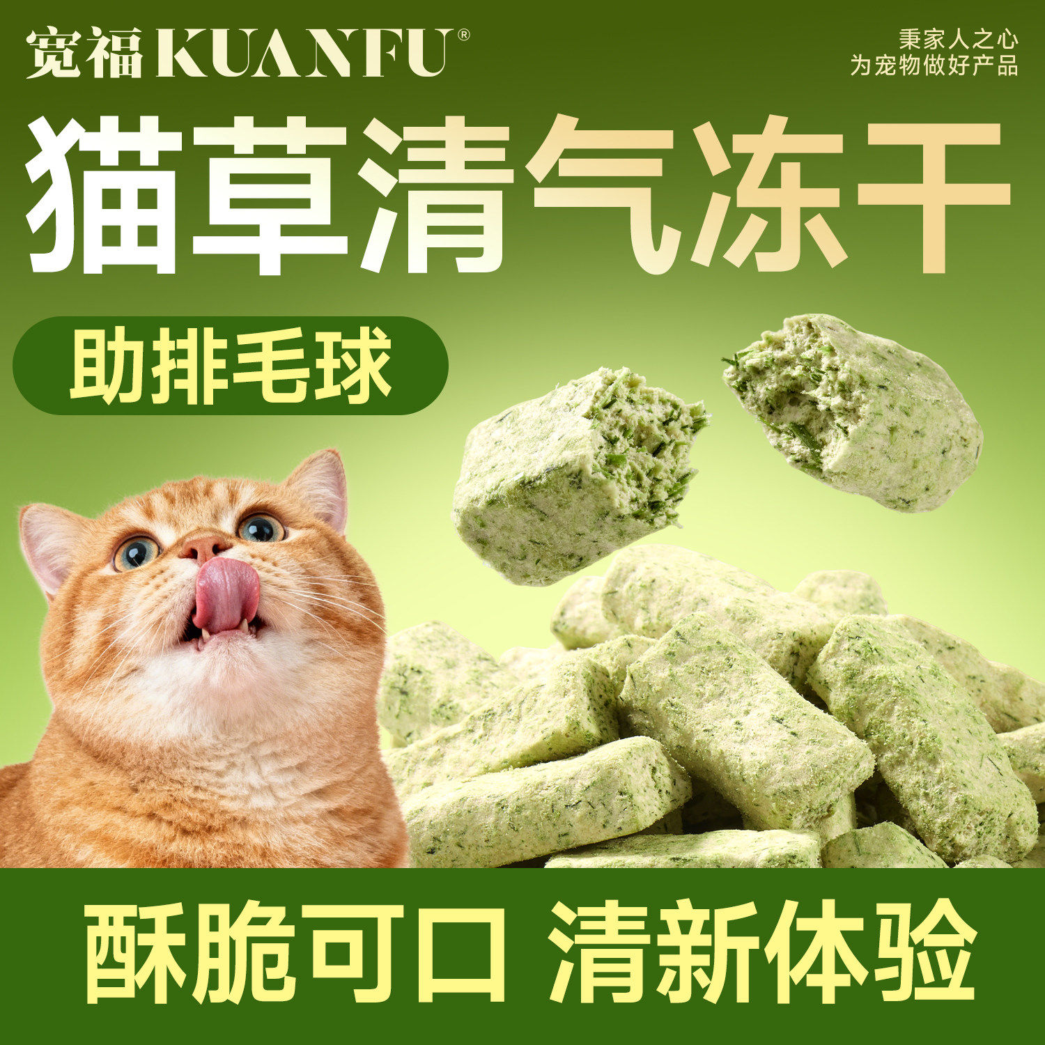 宽福宠物零食猫草清气冻干块 40g/包