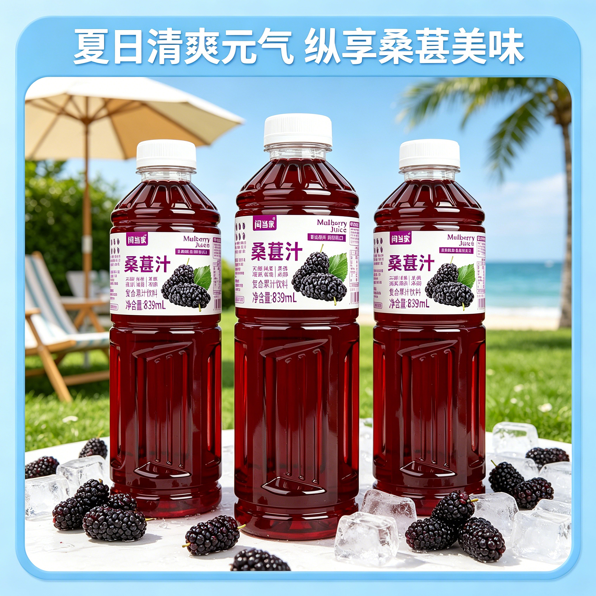 闫当家桑葚汁839ML*3瓶