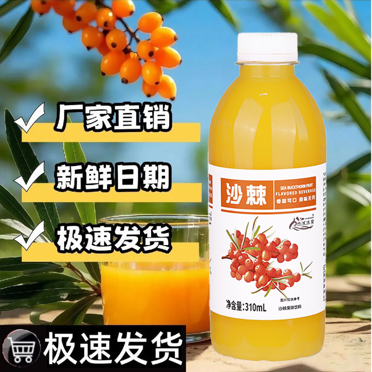 雨沐冰泉沙棘汁310ml*24瓶装