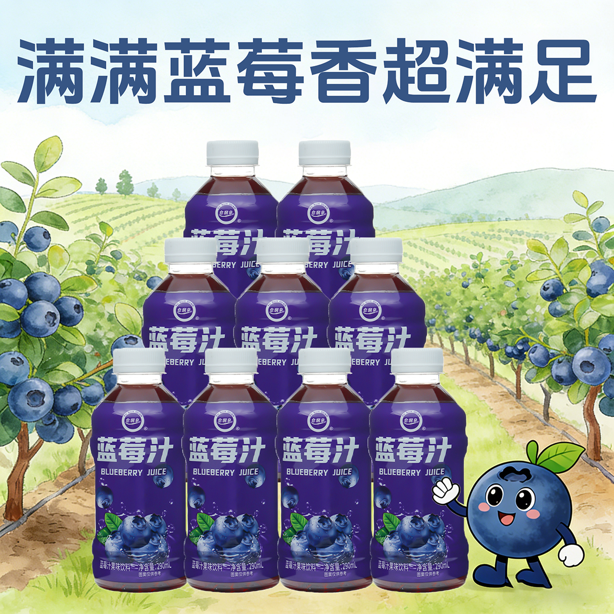 愈润泉蓝莓汁（套）290ml*6瓶