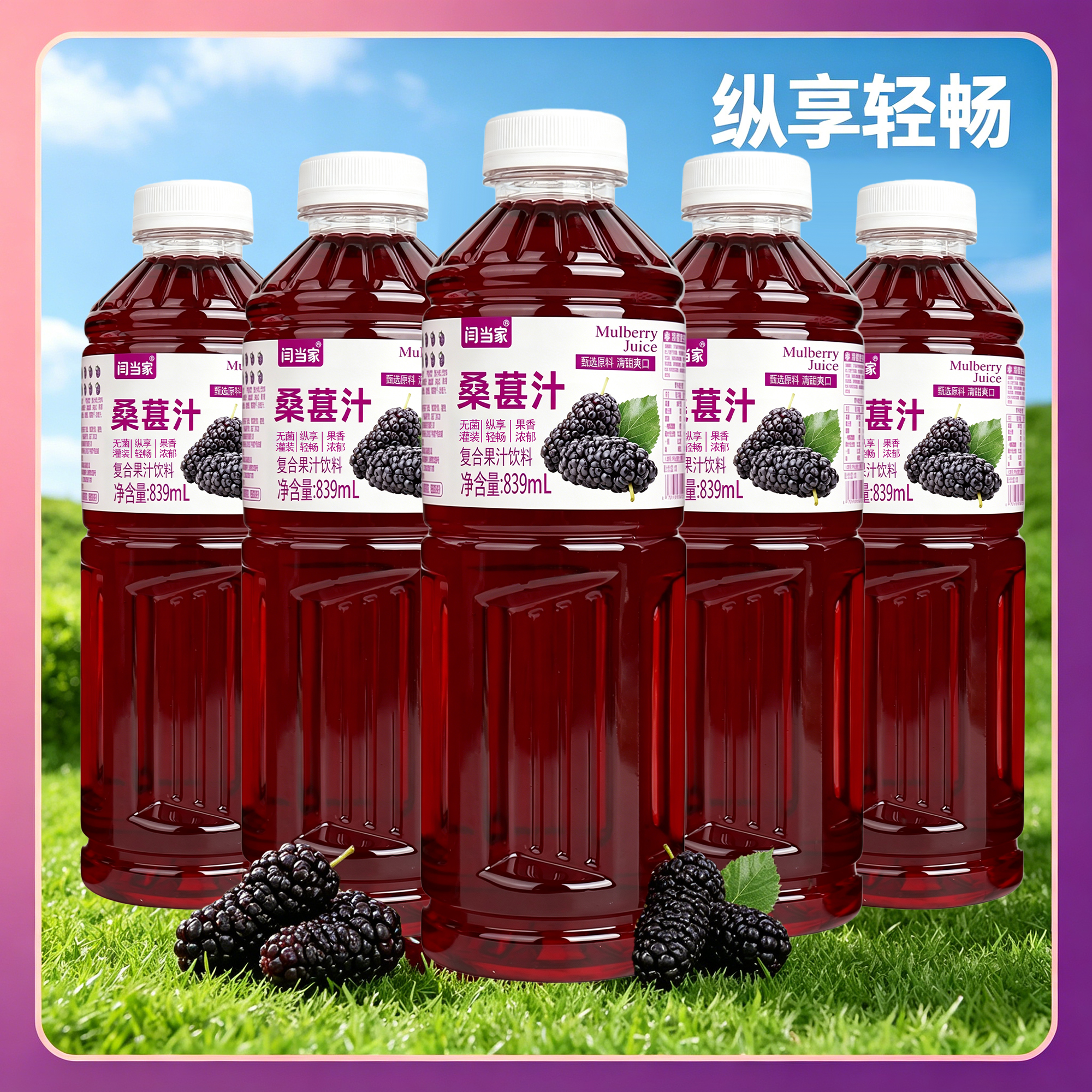 闫当家桑葚汁839ML*4瓶