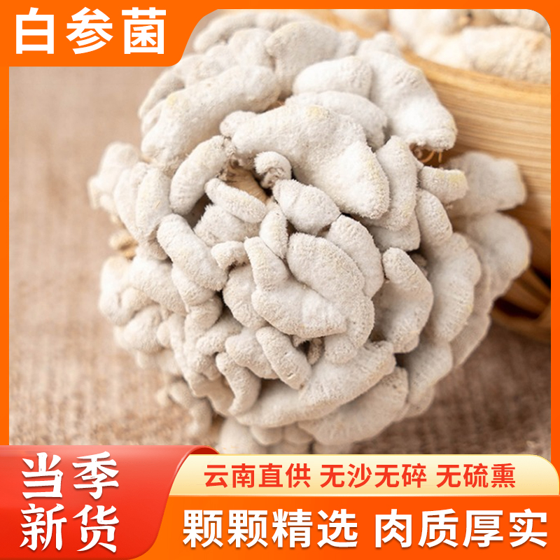 白参菌50g