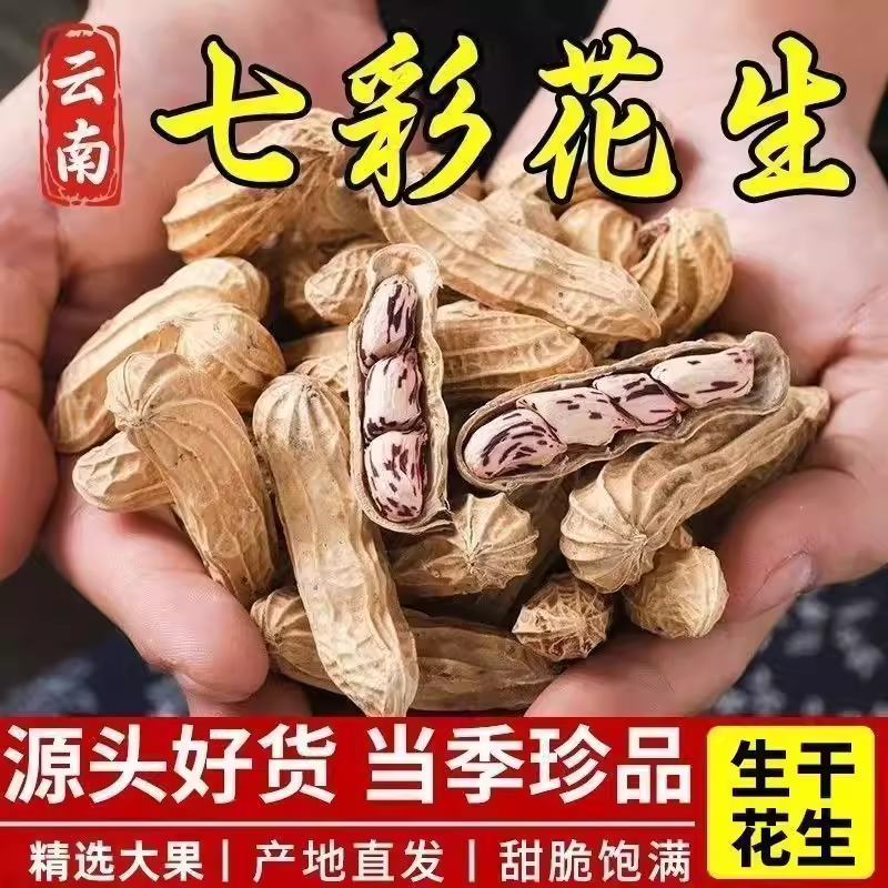 生七彩1斤