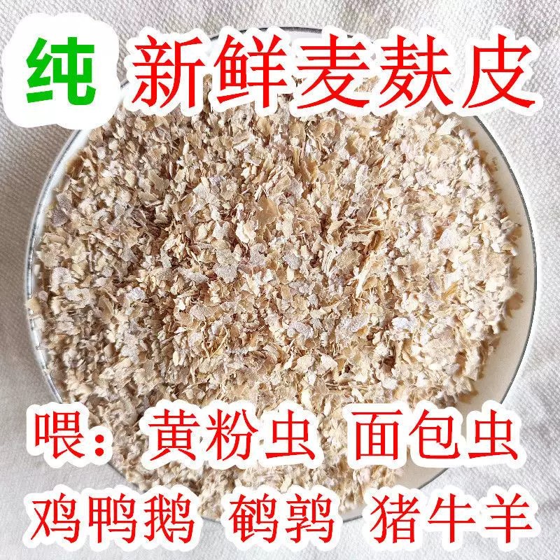麦麸