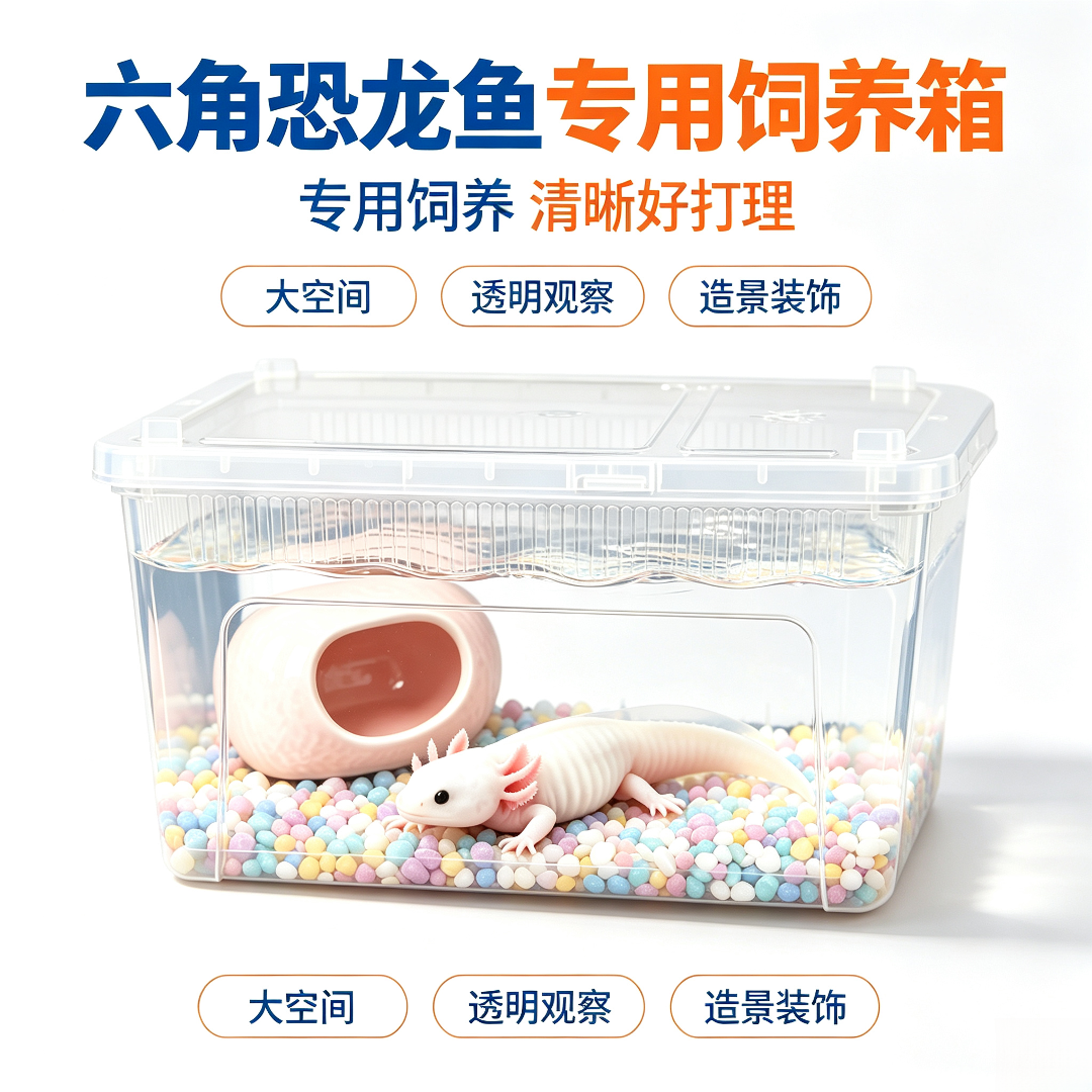 六角恐龙鱼专用缸养蝾螈的饲养鱼缸宠物小型观赏鱼生态造景躲避屋