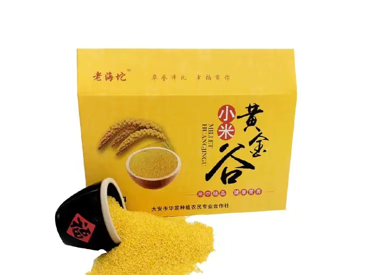 老海坨黄小米东北小米
